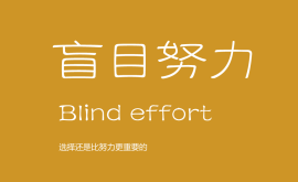 我不反對努力，但我反對盲目的努力